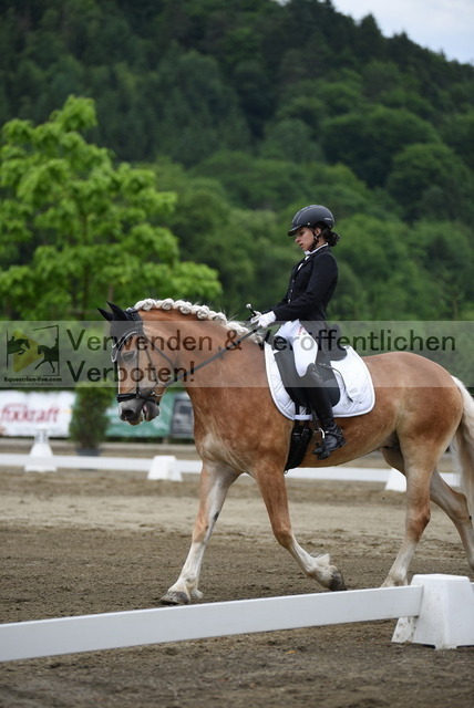 DSC_7934 | equestrian-live-com