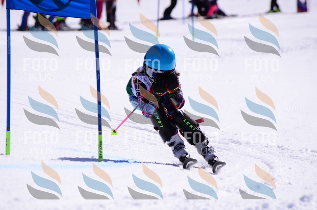 C5788 | holidayphoto
