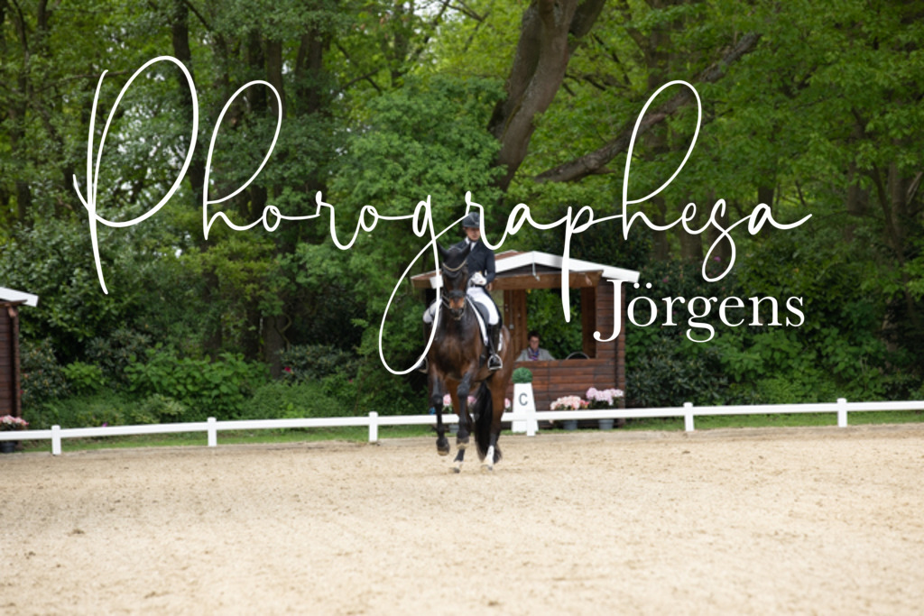 IMG_2511 | photographesa-joergens - Realisiert mit Pictrs.com