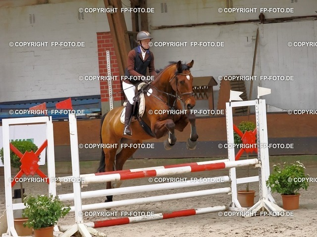 P02X0154.t | FP-Foto.de - Realisiert mit Pictrs.com