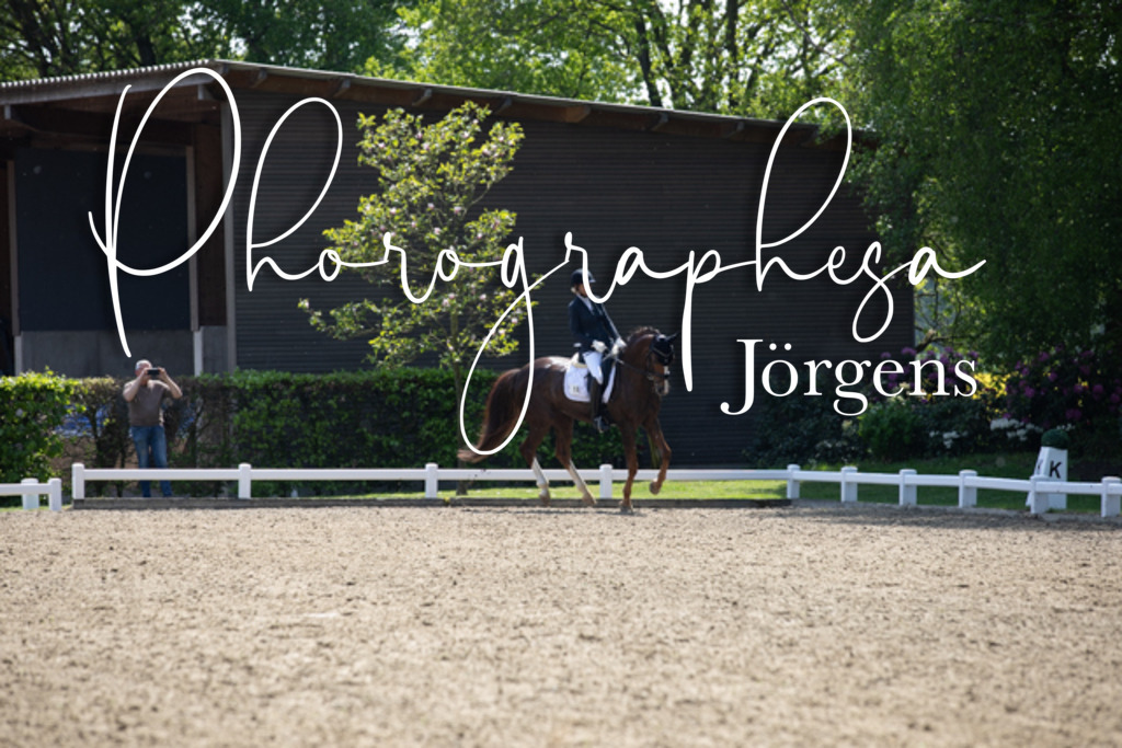 IMG_8866 | photographesa-joergens - Realisiert mit Pictrs.com