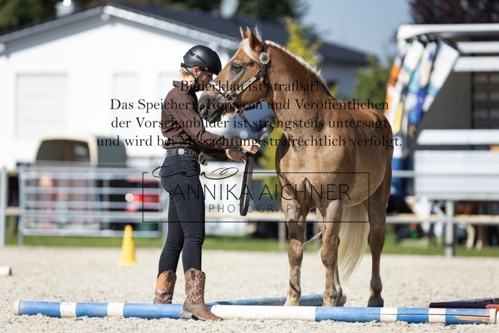 CK4A5954 | Annika Aichner Fotografie | Turnierfotografin | Turniere Niederbayern | Springturnier | Dressurturnier | Obermünchen | Geisenhausen | Mainburg | Neukirchen | Turnierbilder | Turnierfotos | Reitsport - Realisiert mit Pictrs.com