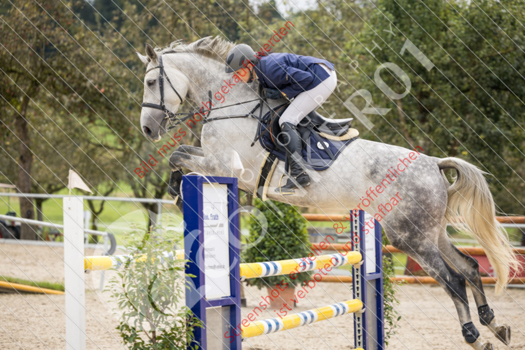 IMG_1648 | Hier findest Du viele Augenblicke aus den Bereichen der Turnier-, Sport- & Tierfotografie. Bilder mit deinem Liebling, Portrait-, Bewerbungs-, Businessbilder können ebenfalls schnell und einfach erstellt werden.