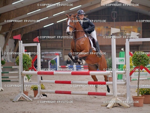 P0162037.t | FP-Foto.de - Realisiert mit Pictrs.com