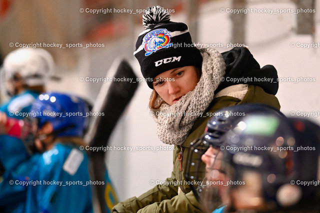 BST_6486 | hockey sports photos, Pressefotos, Sportfotos, hockey247, win 2day icehockeyleague, Handball Austria, Floorball Austria, ÖVV, Kärntner Eishockeyverband, KEHV, KFV, Kärntner Fussballverband, Österreichischer Volleyballverband, Alps Hockey League, ÖFB, 