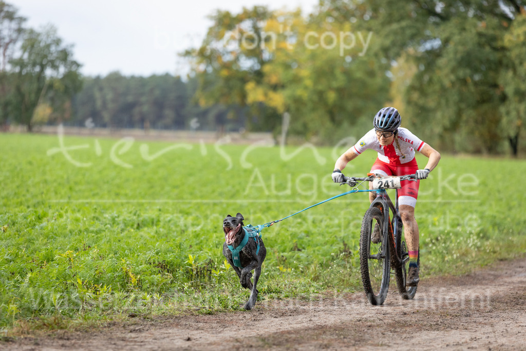 CJ8A8277 | Herzlich Willkommen im Onlineshop von tierische Augenblicke.
Viel Spaß beim aussuchen ihrer Bilder und vielen Dank für ihren Einkauf.
Viele Grüße, ihr Fotograf Stefan Grube