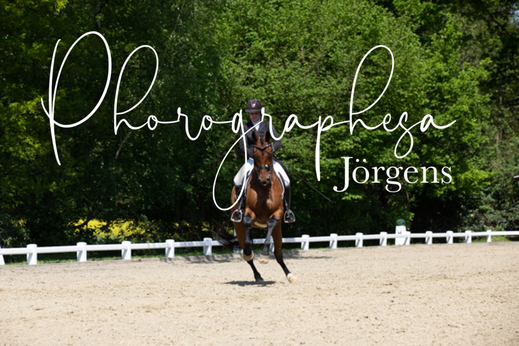 IMG_4322 | photographesa-joergens - Realisiert mit Pictrs.com