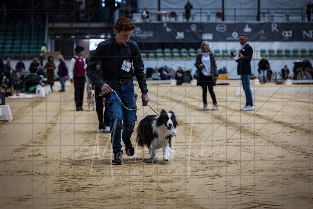 DS - Junior-Handling II_0008 | Markus Heber Photography