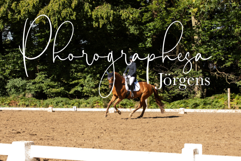 IMG_9986 | photographesa-joergens - Realisiert mit Pictrs.com