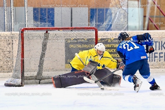 BST_5228 | hockey sports photos, Pressefotos, Sportfotos, hockey247, win 2day icehockeyleague, Handball Austria, Floorball Austria, ÖVV, Kärntner Eishockeyverband, KEHV, KFV, Kärntner Fussballverband, Österreichischer Volleyballverband, Alps Hockey League, ÖFB, 