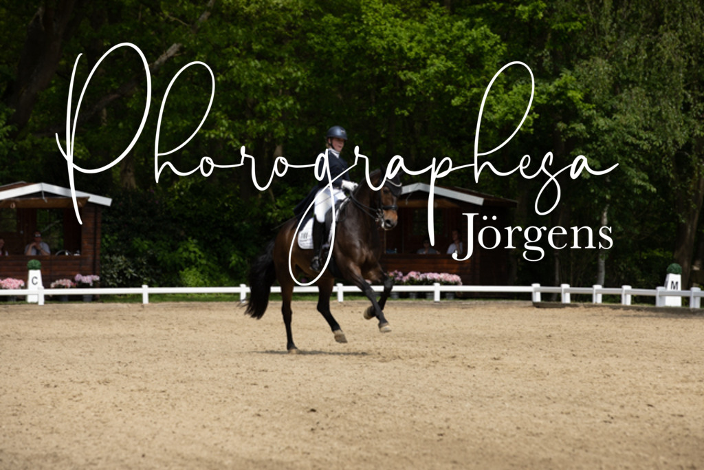 IMG_1517 | photographesa-joergens - Realisiert mit Pictrs.com