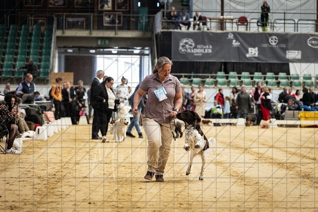 DS - Bester Junghund_0069 | Markus Heber Photography