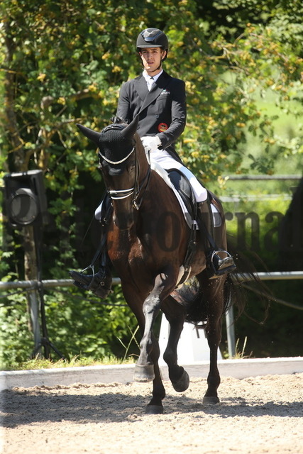 Ilsfeld_2022_Dressur_Kl.S_Moritz Treffinger_Francis Royal 4 (3) | Alle Fotos der Reiterjournal Fotografin Doris Matthaes im Reiterjournal Online-Fotoshop. - Realisiert mit Pictrs.com