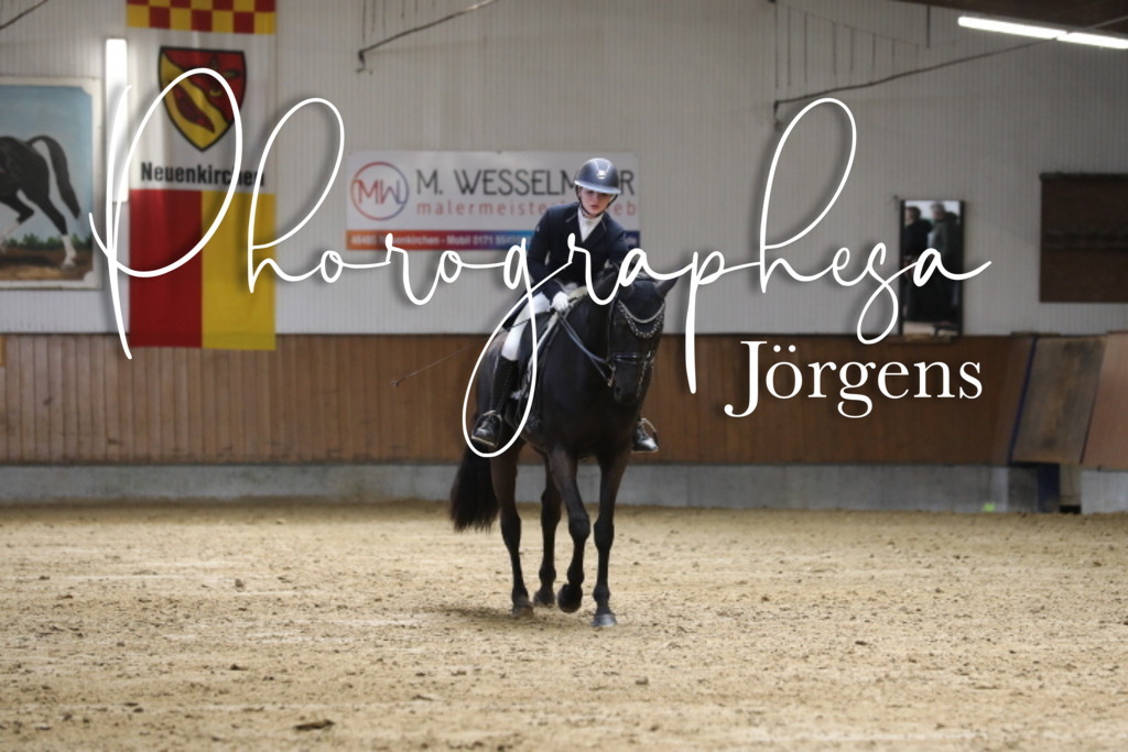 IMG_7890 | photographesa-joergens - Realisiert mit Pictrs.com