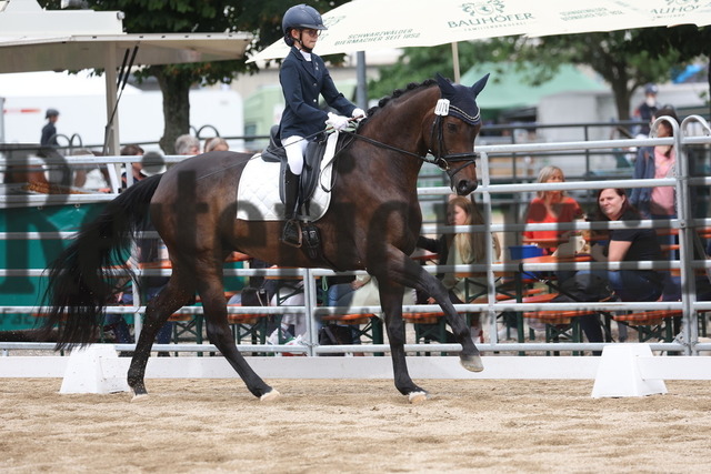 Offenburg_2023_Prfg.Nr.02_Dressurprfg_Kl.A_Martha Louisa Temme_Faynoon (21) | Alle Fotos der Reiterjournal Fotografin Doris Matthaes im Reiterjournal Online-Fotoshop. - Realizzato con Pictrs.com