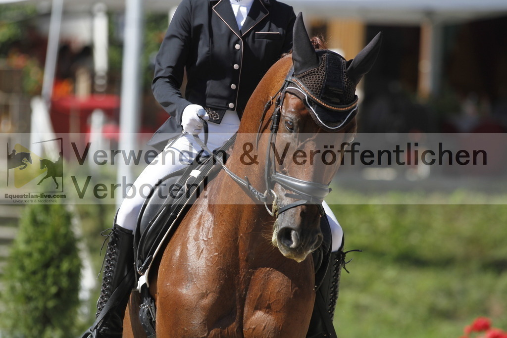 _MG_0134 | equestrian-live-com