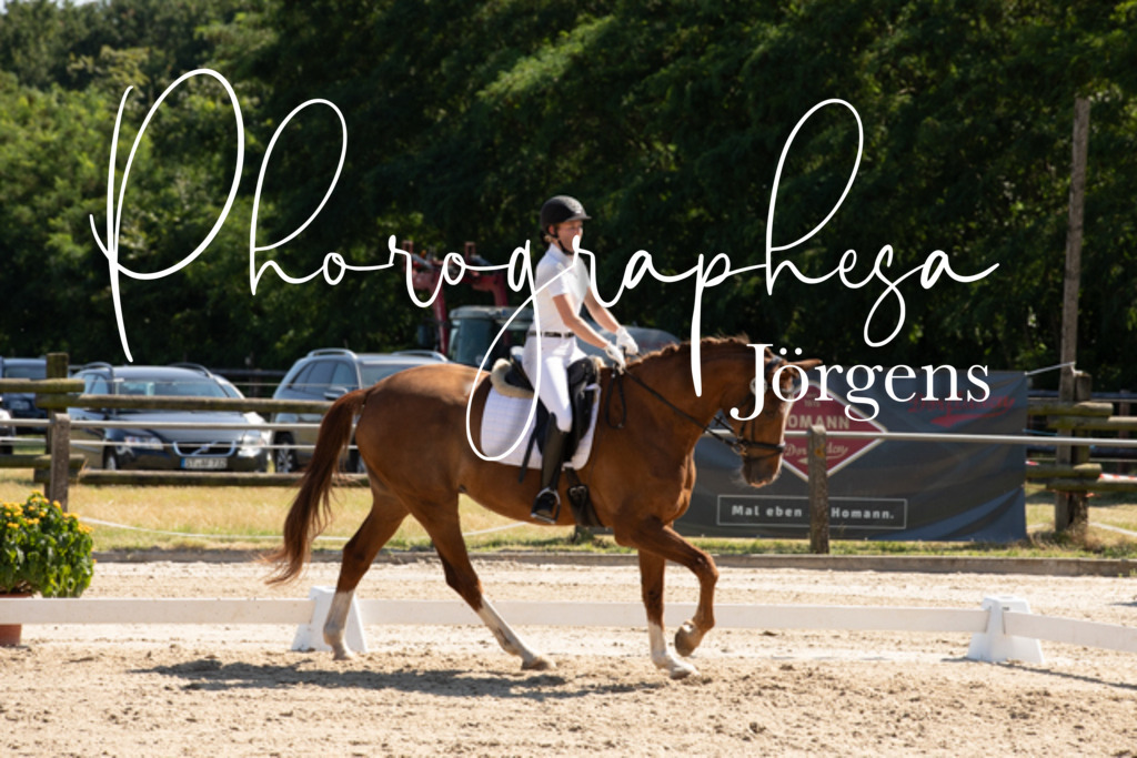 IMG_0646 | photographesa-joergens - Realisiert mit Pictrs.com
