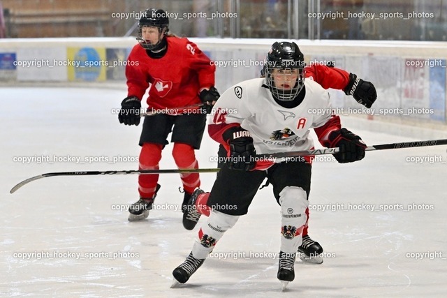 Z9B_5139 | hockey sports photos, Pressefotos, Sportfotos, hockey247, win 2day icehockeyleague, Handball Austria, Floorball Austria, ÖVV, Kärntner Eishockeyverband, KEHV, KFV, Kärntner Fussballverband, Österreichischer Volleyballverband, Alps Hockey League, ÖFB, 