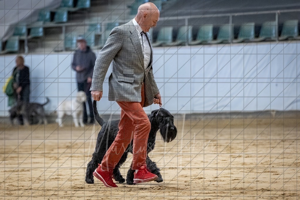 DS - Bester Veteran_0099 | Markus Heber Photography