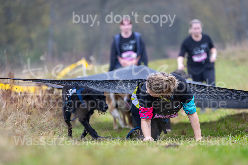 FM6A1566 | Herzlich Willkommen im Onlineshop von tierische Augenblicke.
Viel Spaß beim aussuchen ihrer Bilder und vielen Dank für ihren Einkauf.
Viele Grüße, ihr Fotograf Stefan Grube