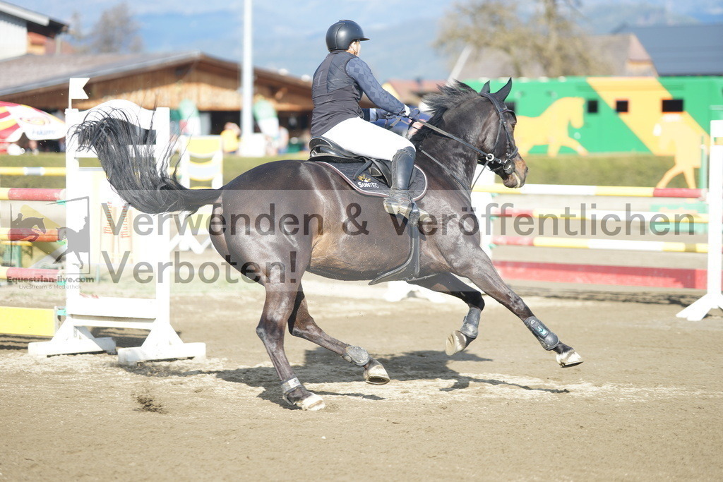 DSC03391 | equestrian-live-com