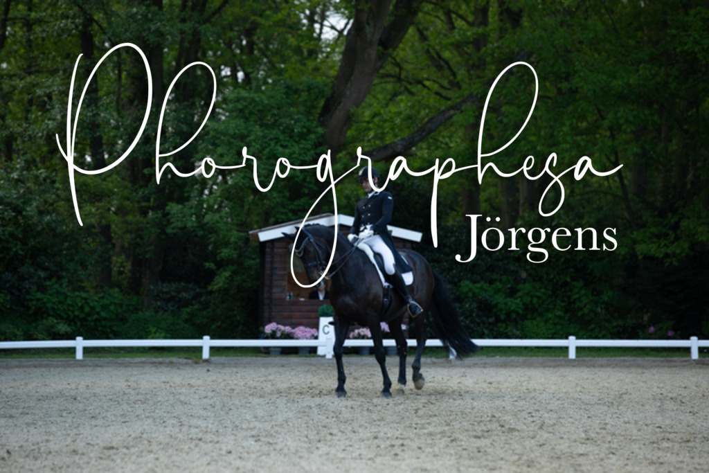 IMG_9422 | photographesa-joergens - Realisiert mit Pictrs.com