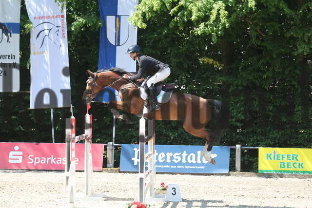 Ichenheim_2023_Prfg.Nr.21_Springprfg_Kl.S_U25_Nikolaus Leckebusch-Peters_Excentrique Z (1) | Alle Fotos der Reiterjournal Fotografin Doris Matthaes im Reiterjournal Online-Fotoshop. - Realisiert mit Pictrs.com