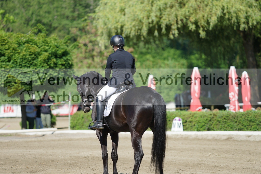 DSC04267 | equestrian-live-com