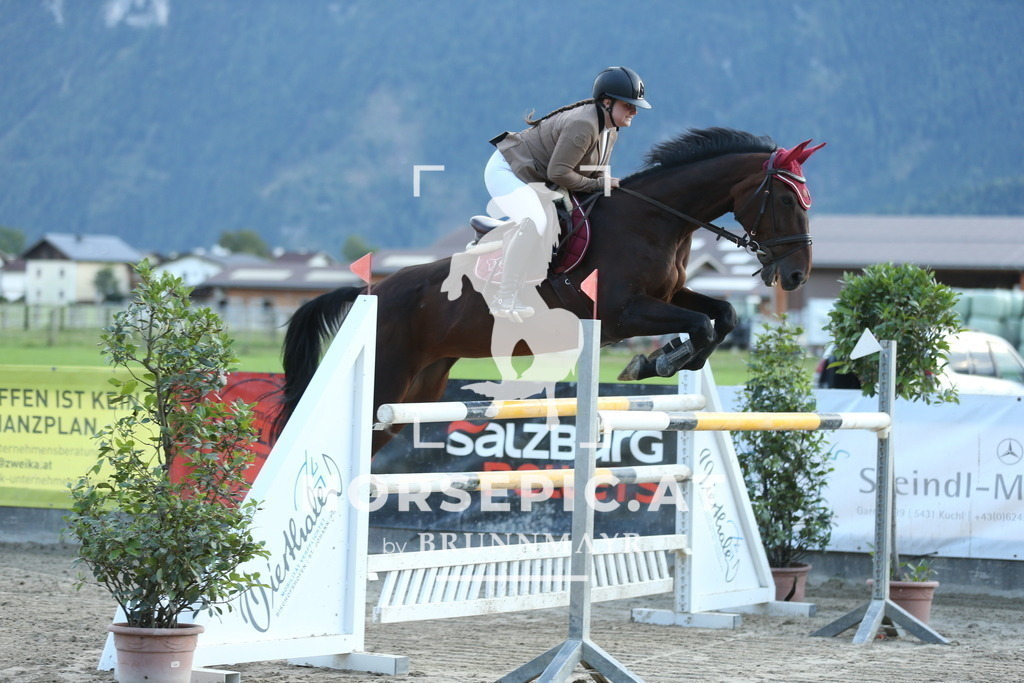 AS8V1567 | Willkommen bei Brunnmayr - Design & Fotografie – Ihrem Spezialisten für Reitturniere und Pferdeveranstaltungen in Oberösterreich, Salzburg und Bayern! Seit über 17 Jahren sind wir leidenschaftlich dabei.