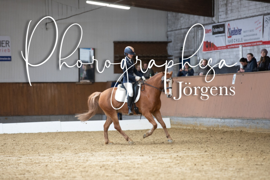 IMG_7686 | photographesa-joergens - Realisiert mit Pictrs.com