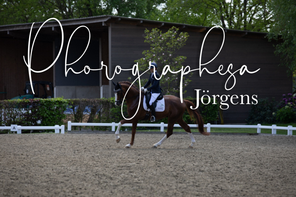 IMG_9316 | photographesa-joergens - Realisiert mit Pictrs.com