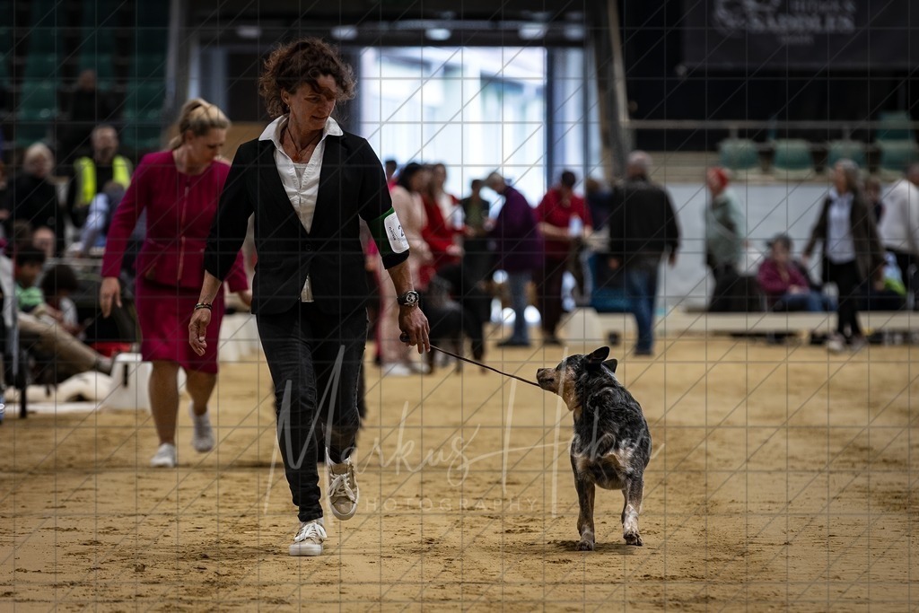 DS - FCI Gruppe 1_0057 | Markus Heber Photography
