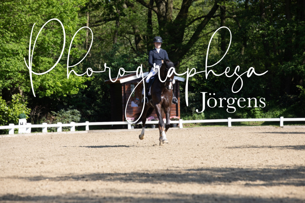 IMG_3116 | photographesa-joergens - Realisiert mit Pictrs.com