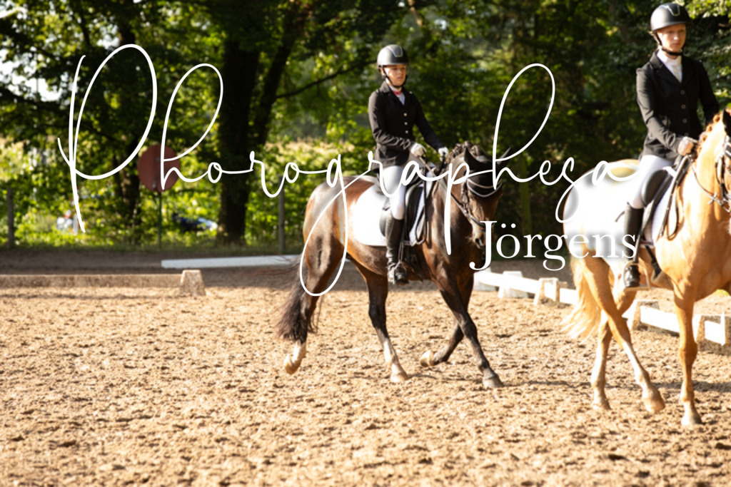 IMG_0867 | photographesa-joergens - Realisiert mit Pictrs.com