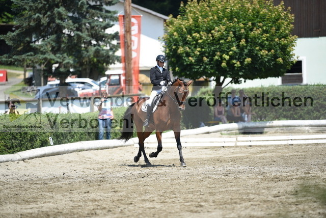 DSC_0748 | equestrian-live-com