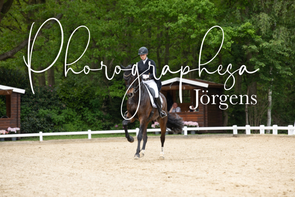 IMG_2470 | photographesa-joergens - Realisiert mit Pictrs.com