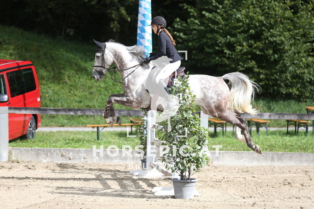 AS8V9909 | Willkommen bei Brunnmayr - Design & Fotografie – Ihrem Spezialisten für Reitturniere und Pferdeveranstaltungen in Oberösterreich, Salzburg und Bayern! Seit über 17 Jahren sind wir leidenschaftlich dabei.