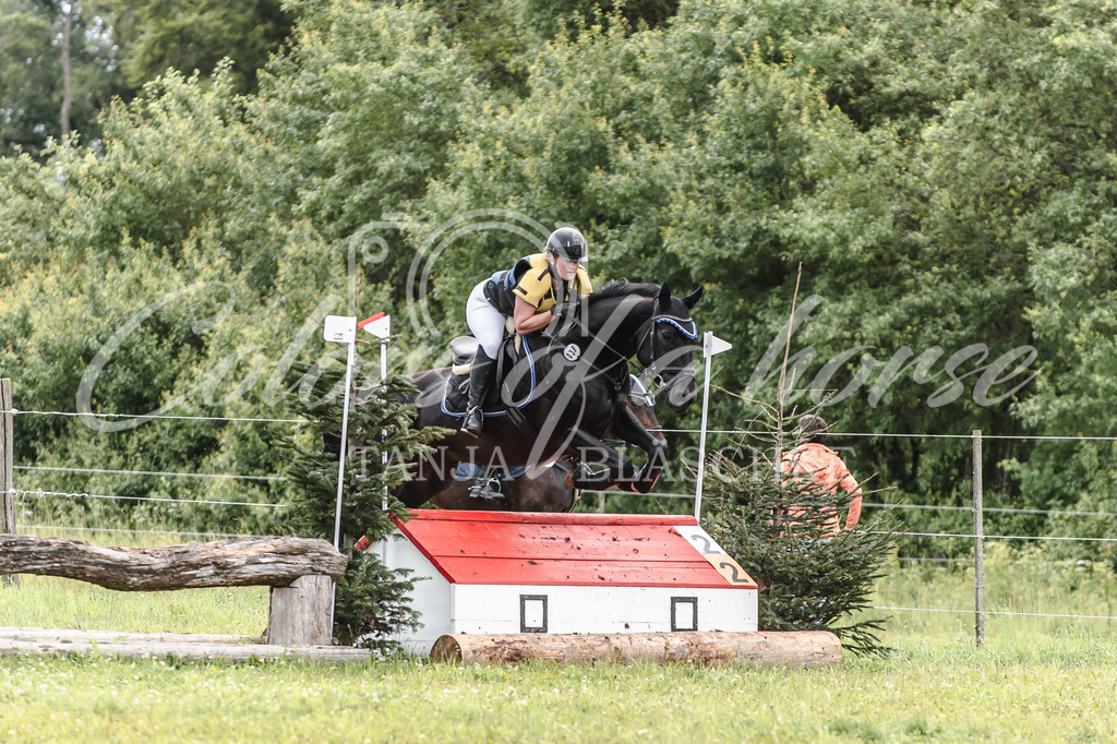 TBL_8472 | Turnierfotos von Reitturnieren in den Landkreisen Biberach, Ravensburg und in ganz Oberschwaben - von Tanja Bläschke - Colorsofahorse - Realisiert mit Pictrs.com