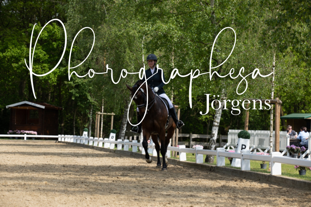 IMG_0778 | photographesa-joergens - Realisiert mit Pictrs.com