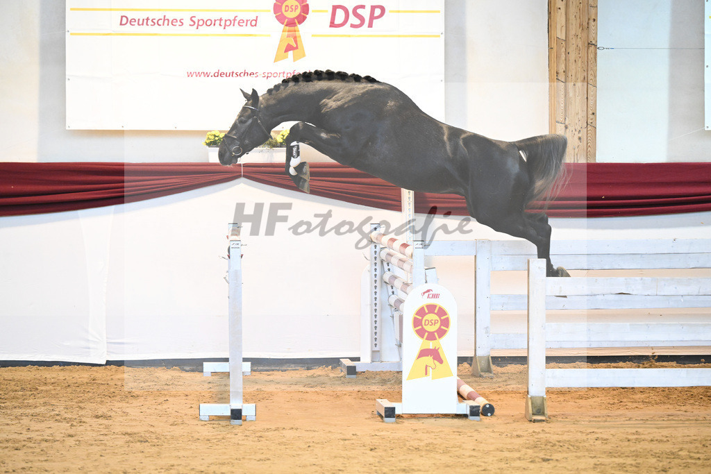Kat-Nr. 15 v. Conthargos_Schmid_66221427 | hf-fotografie - Realisiert mit Pictrs.com