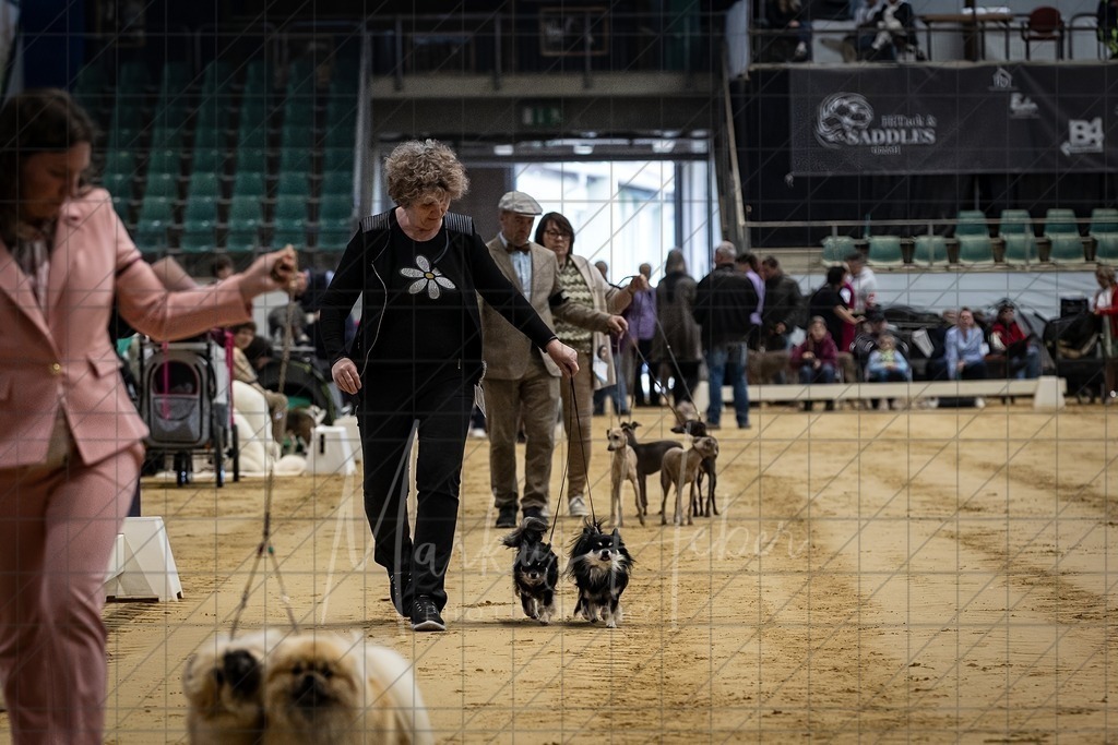 DS - Paarklasse_0044 | Markus Heber Photography