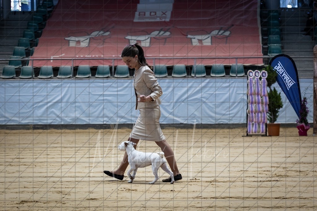 DS - Junior-Handling II_0072 | Markus Heber Photography