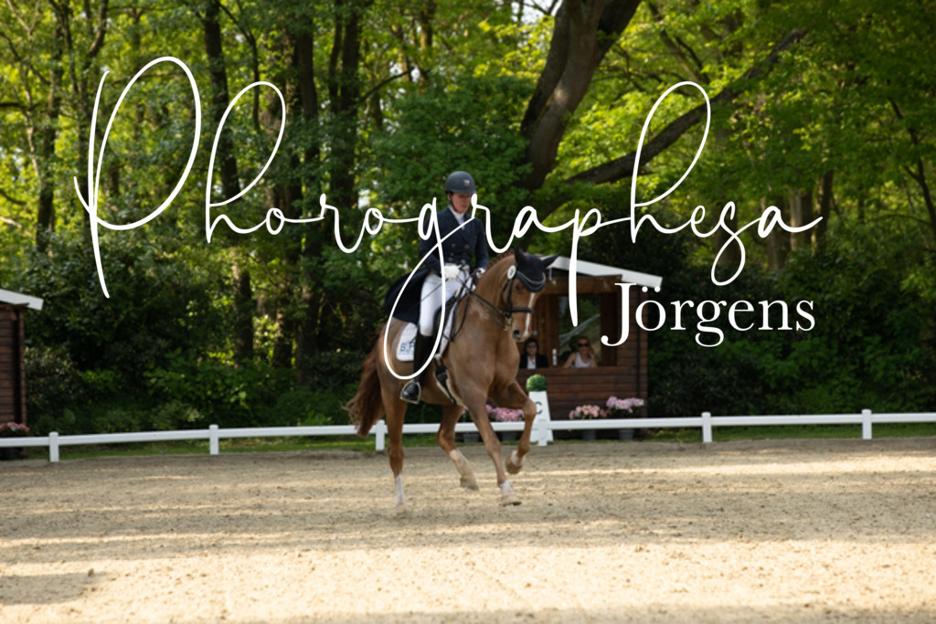IMG_8421 | photographesa-joergens - Realisiert mit Pictrs.com