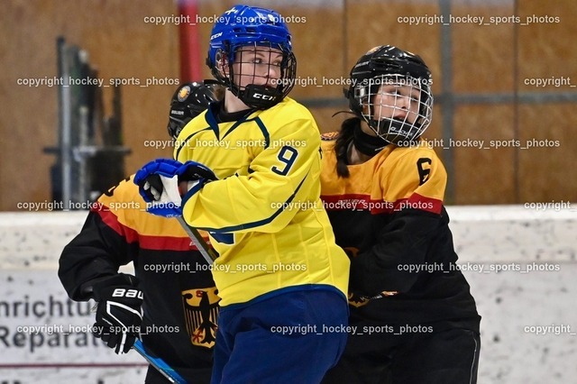 BST_4743 | hockey sports photos, Pressefotos, Sportfotos, hockey247, win 2day icehockeyleague, Handball Austria, Floorball Austria, ÖVV, Kärntner Eishockeyverband, KEHV, KFV, Kärntner Fussballverband, Österreichischer Volleyballverband, Alps Hockey League, ÖFB, 