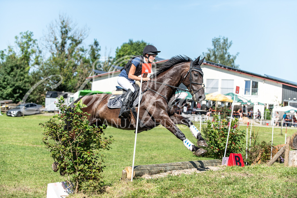 TBL_6828 | Turnierfotos von Reitturnieren in den Landkreisen Biberach, Ravensburg und in ganz Oberschwaben - von Tanja Bläschke - Colorsofahorse - Realisiert mit Pictrs.com