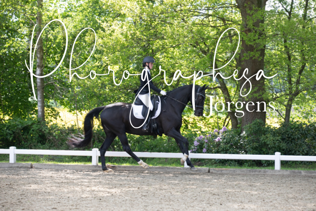 IMG_0064 | photographesa-joergens - Realisiert mit Pictrs.com