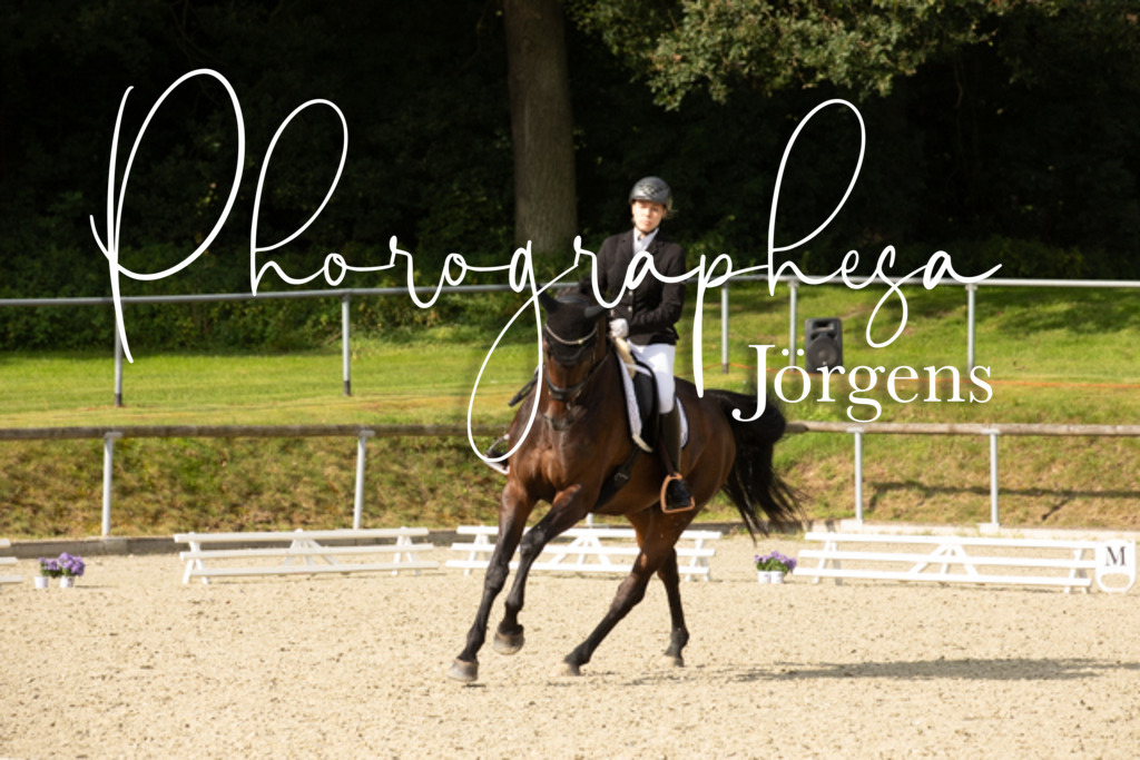 IMG_7664 | photographesa-joergens - Realisiert mit Pictrs.com
