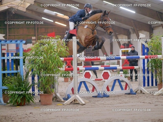 P0131810.t | FP-Foto.de - Realisiert mit Pictrs.com