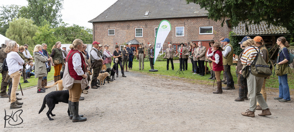 20240706-H15A7727-2comp | Hundefotografie Katrin Bücker Hundefotografie am Niederrhein - Realisiert mit Pictrs.com