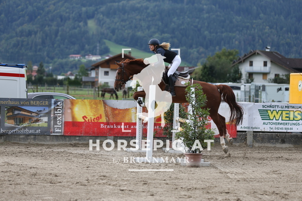 AS8V9929 | Willkommen bei Brunnmayr - Design & Fotografie – Ihrem Spezialisten für Reitturniere und Pferdeveranstaltungen in Oberösterreich, Salzburg und Bayern! Seit über 17 Jahren sind wir leidenschaftlich dabei.